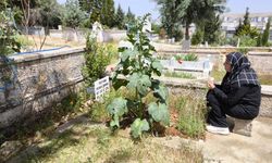 Mersin'de Katledilen Feray Şahin Anneler Günü’nde Mezarının Başında Anıldı