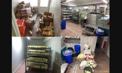 Sakarya’da 1,5 Milyonluk Sahte Kaşar Peyniri Operasyonu
