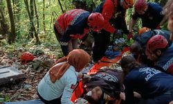Sapanca'da UTV Kazası: Karı-Koca Şarampole Yuvarlandı
