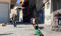 İşte 2025 Bayram Bilançosu