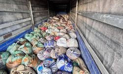Van’da 22 Ton 475 Kilogram Kaçak Avlanmış Balık Ele Geçirildi