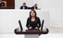 CHP’li Kış: “Vatandaş Borç Altında, Saray Faize Çalışıyor”
