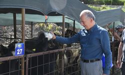 Anamur'da Üretici ve Vatandaşlarla Bayram Sohbeti