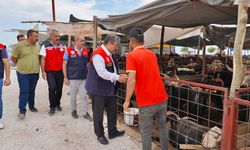 Mersin'de Kurban Bayramı Öncesi Denetimlerini Sıklaştırdı