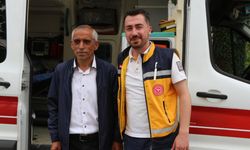 Ürettiği Balın Lezzetine Kandı, Deli Bal Hastanelik Etti