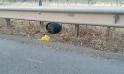 İzmir'de Feci Kaza: 19 Yaşındaki Motokurye Hayatını Kaybetti