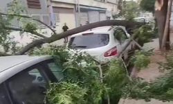 Gaziantep’te Şiddetli Fırtına ve Yağış Hayatı Felç Etti