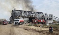 Mersin’de Pamuk Fabrikası Deposunda Yangın!