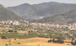 İzmir Orman Yangını: Havadan ve Karadan Müdahale Sürüyor