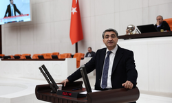 Ekmen: Emek Siyasette Yeterince Temsil Edilmiyor