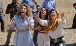 Hanımağa'nın Gelinleri: Oyuncu Kadrosu, Konusu, Nerede Çekildi?