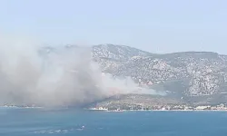 İzmir'de Orman Yangını: Havadan ve Karadan Yoğun Müdahale Sürüyor