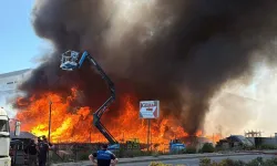 Kocaeli'de Palet Fabrikasında Yangın: Ekipler Müdahale Ediyor