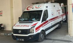 Mersin'de Kurban Bayramı'nda 275 Acemi Kasap Hastanelik