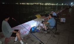 Mersinli Balıkçılar Boş Kova ile Eve Dönüyor