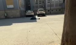 Sakarya’da AYT Dramı: Yanlış Belgeyle Gelen Aday Baygınlık Geçirdi!