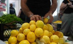 Limon Fiyatları Rekor Seviyeye Ulaştı