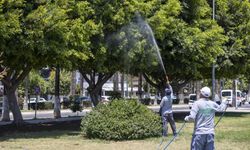 Mersin Büyükşehir’den Yaz Aylarında Yoğun Haşereyle Mücadele