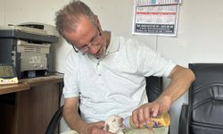 Tescilli Irk Olan Çatalburun Köpeği Bir Batında 13 Yavru Dünyaya Getirdi