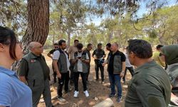 Mersin’de Orman İşletme Personeline ORKOD Eğitimi Verildi