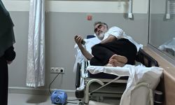 Yılanın Isırdığı Adam, Öldürdüğü Yılanla Hastaneye Gitti