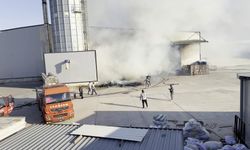 Sakarya'da Mobilya Fabrikasında Yangın: Ekipler Seferber Edildi