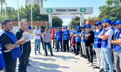 Toros Tarım İşçilerinden 56 Gündür Direniş