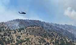 Ankara’da Yangın Paniği: Doğa Alevlere Teslim Oluyor!