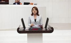 Mecliste Mersin’in Sesi Oldu: Gülcan Kış Mersin'in Tüm Sorunlarını Tek Tek Gündeme Taşıdı