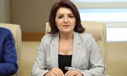 Mersin Milletvekili Gülcan Kış: “Meclis değil, Saray karar veriyor”