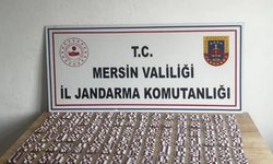 Gülnar’da Uyuşturucu Operasyonu: 1.531 Hap Ele Geçirildi