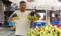 Mersin’de doğadan bedava toplanıyor! Tanesi 10 liradan satılıyor