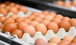 Tanesi 4 lirayı buldu, sofraların tadı kaçtı!! Yumurtaya gelen dev zam sonrası vatandaşlar kara kara düşünüyor