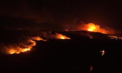 Çanakkale ve Tekirdağ’da Orman Yangını Rüzgarla Büyüdü, Tehlike Sürüyor!