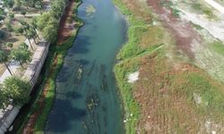 Seyhan Nehri’ne Giren Uzman Çavuş Akıntıya Kapıldı