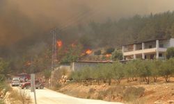 12 Hava Aracı, 110 Araç, Yüzlerce Görevli: Silifke'deki Yangın İçin Seferberlik İlanı