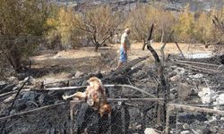 “Çaresizce izledik” dedi… Mersin’de yangın kabusu!