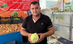Müşteri, Marulu Beğenmedi, 15 Yaşındaki Genç Darp Edildi! Olay Kamerada