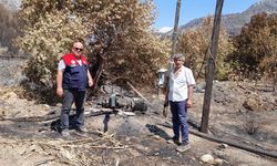 İl Tarım Müdürlüğü’nden Açıklama: Anamur Yangının Boyutu ve Etkilenen Alanlar Açıklandı