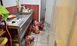 İhbar Üzerine Gidildi, Sağlık Skandalı Ortaya Çıktı