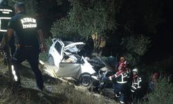 Zeytinlikte can pazarı: Kontrolden çıkan otomobil ağaca çarptı, 2 ölü
