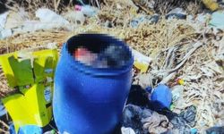 Babasını Bidona Koyup Çöpe Attı, Sonra Doğum Günü Partisi Yaptı!
