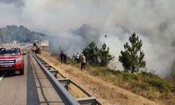 Bolu’da Büyük Panik: Mengen Ormanları Alevlere Teslim Oluyor!