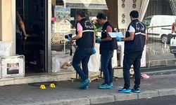 Polis Memuru Cinnet Geçirdi: Aydın'da Feci Cinayet