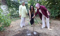 Yanmış Ormanların Yerine Umut: Mersin’de Büyük Katılım!
