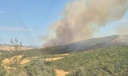 Çanakkale’de Korkutan Yangın: Ekipler Seferber Oldu