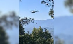 Hatay'da Ormanda Alev Alarmı: Yangın Helikopterlerle Söndürüldü!