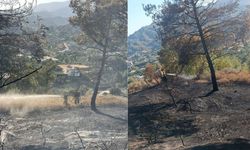 Hatay’da Orman Yangını! Antakya Kisecik’te Alevler Son Anda Kontrol Altına Alındı