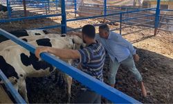 Her Aşılama Bir Gelecek Yatırımı: Mersin’de Ekipler Sahada
