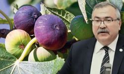 Üretici Zararda, Market Kazanıyor: O Üründe Fiyat Farkı Şaşırtıyor!